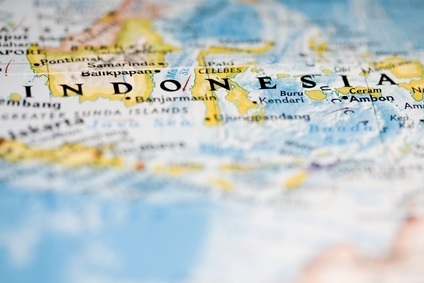 BRICs and beyond: Competition rises in Indonesia's growing dairy sector ...