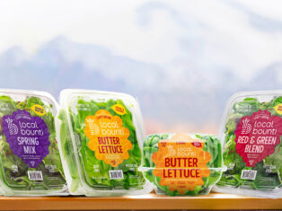 Local Bounti acquires US vertical-farming peer Hollandia Produce