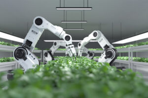 Vertical farming will lead a new agritech revolution