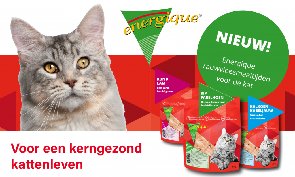 An advert for Energique Netherland pet food brand's cat food launch 