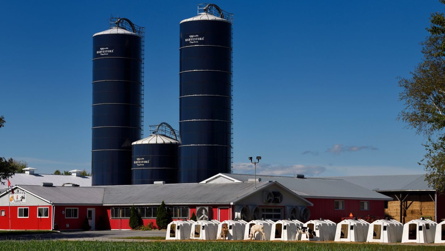 Canada announces new fund for dairy, egg and poultry industry