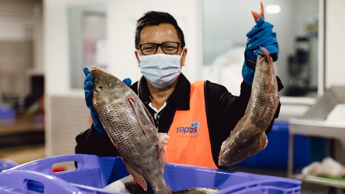 Australia’s Raptis Seafood looks for investor