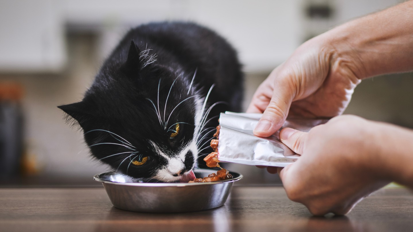 Viscofan buys majority stake in Brazilian pet-food firm Pet Mania